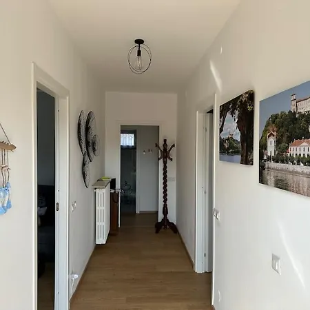 Casa Da Pina In Ricordo Della Mia Cara Mamma 아파트